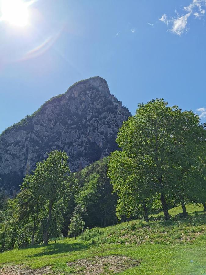 House Studor Bohinj Exterior foto