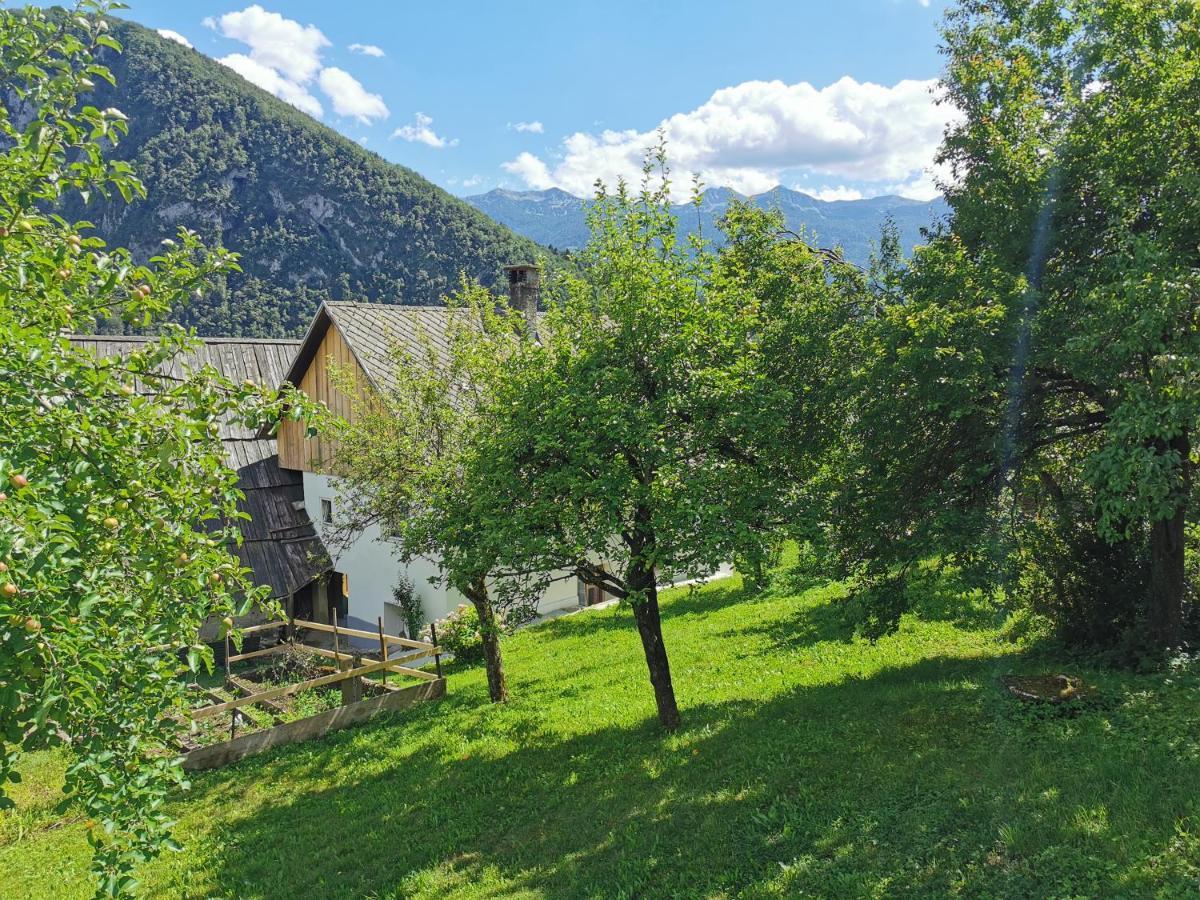 House Studor Bohinj Exterior foto